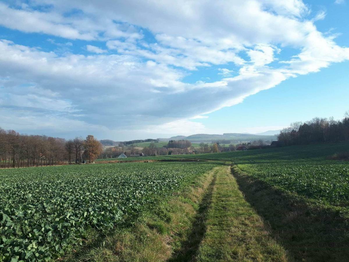 Agroturystyka U Swiatkow Stara Kamienica Exterior foto